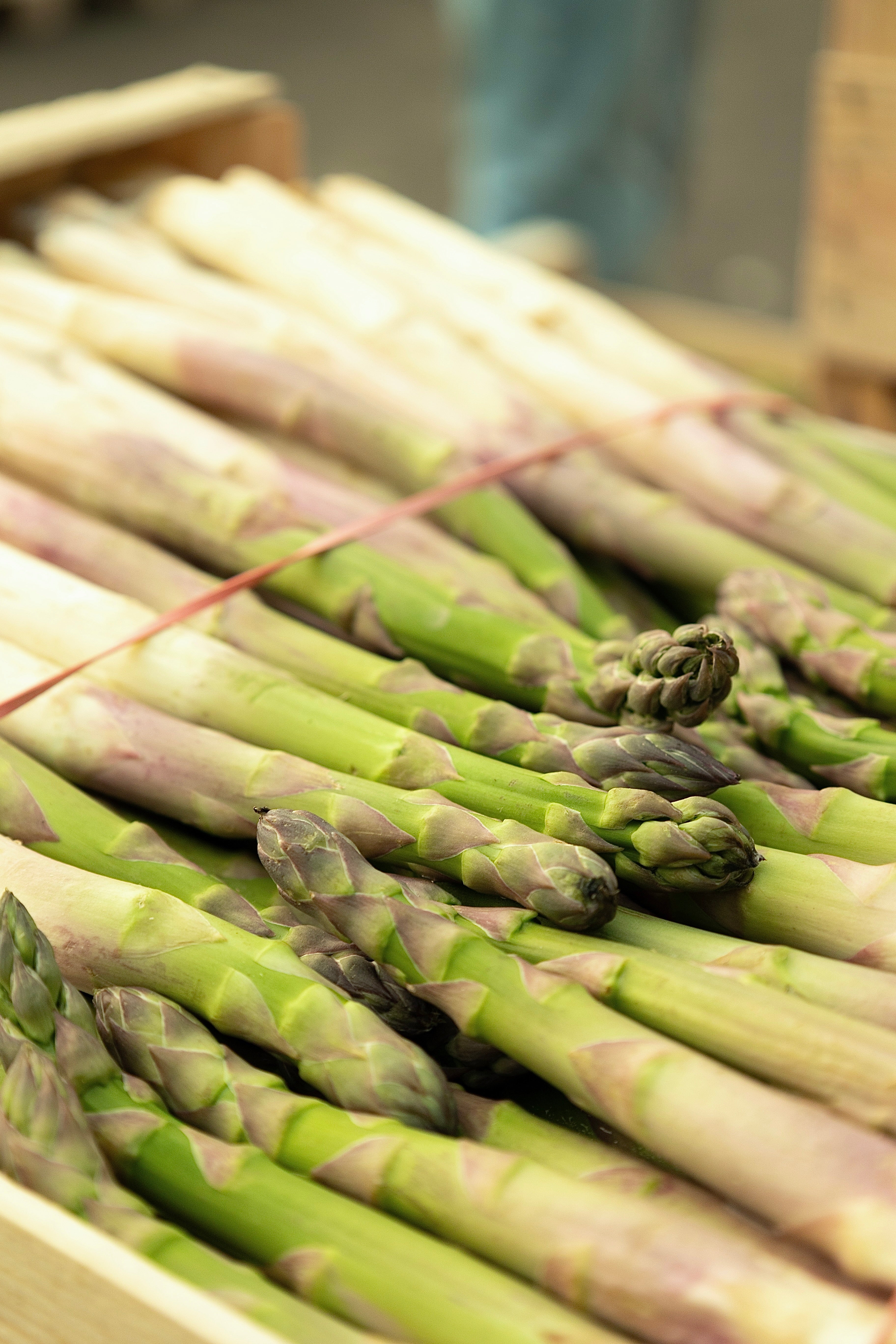 Asperges au Grand Marché des Alpes, MIN de Grenoble, marché de gros alimentaire pour professionnels à Grenoble.