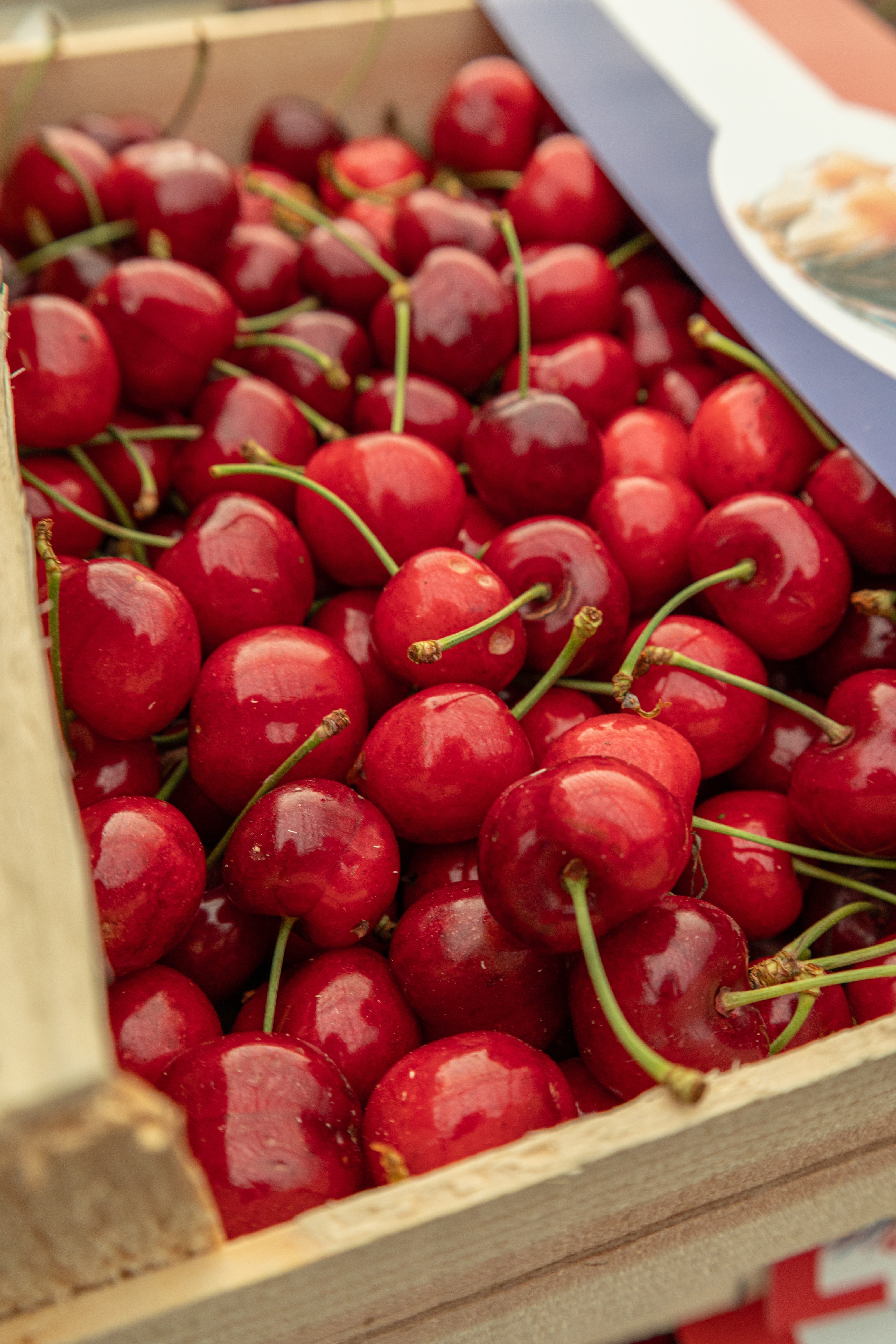Cerises au Grand Marché des Alpes, MIN de Grenoble, marché de gros alimentaire pour professionnels à Grenoble.