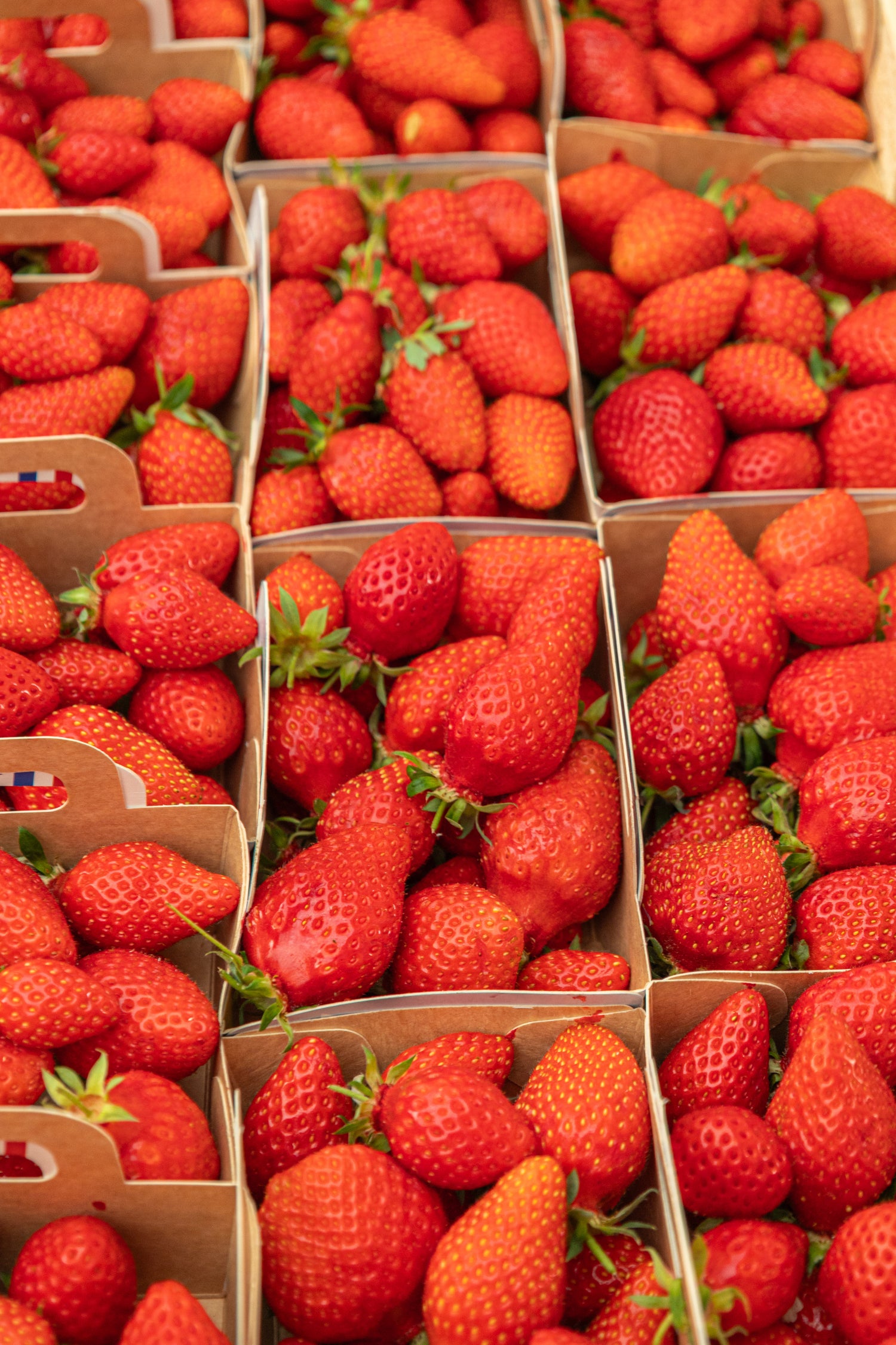 Fraises au Grand Marché des Alpes, MIN de Grenoble, marché de gros alimentaire pour professionnels à Grenoble.