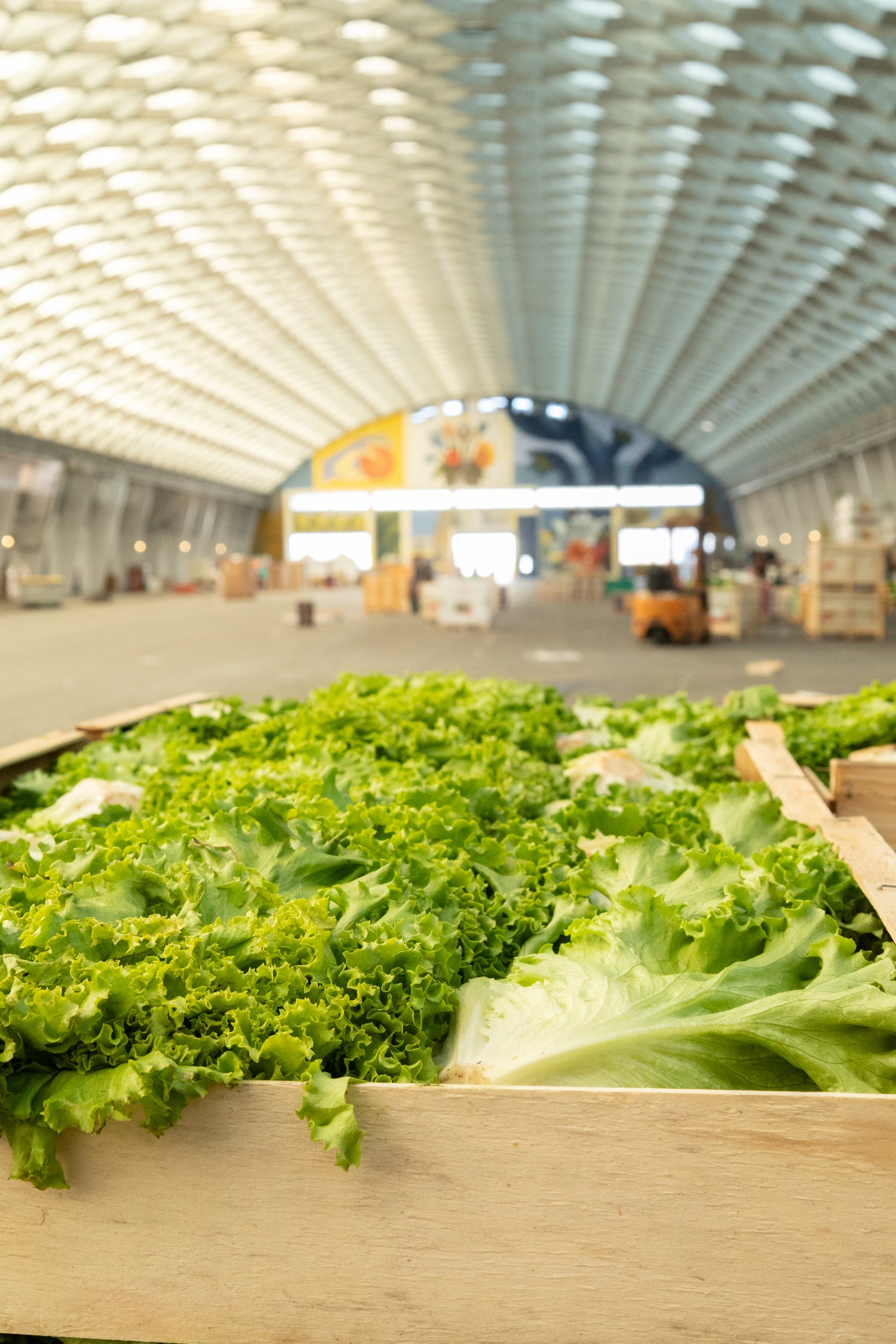 Grand Marché des Alpes, MIN de Grenoble, marché de gros alimentaire pour professionnels à Grenoble.