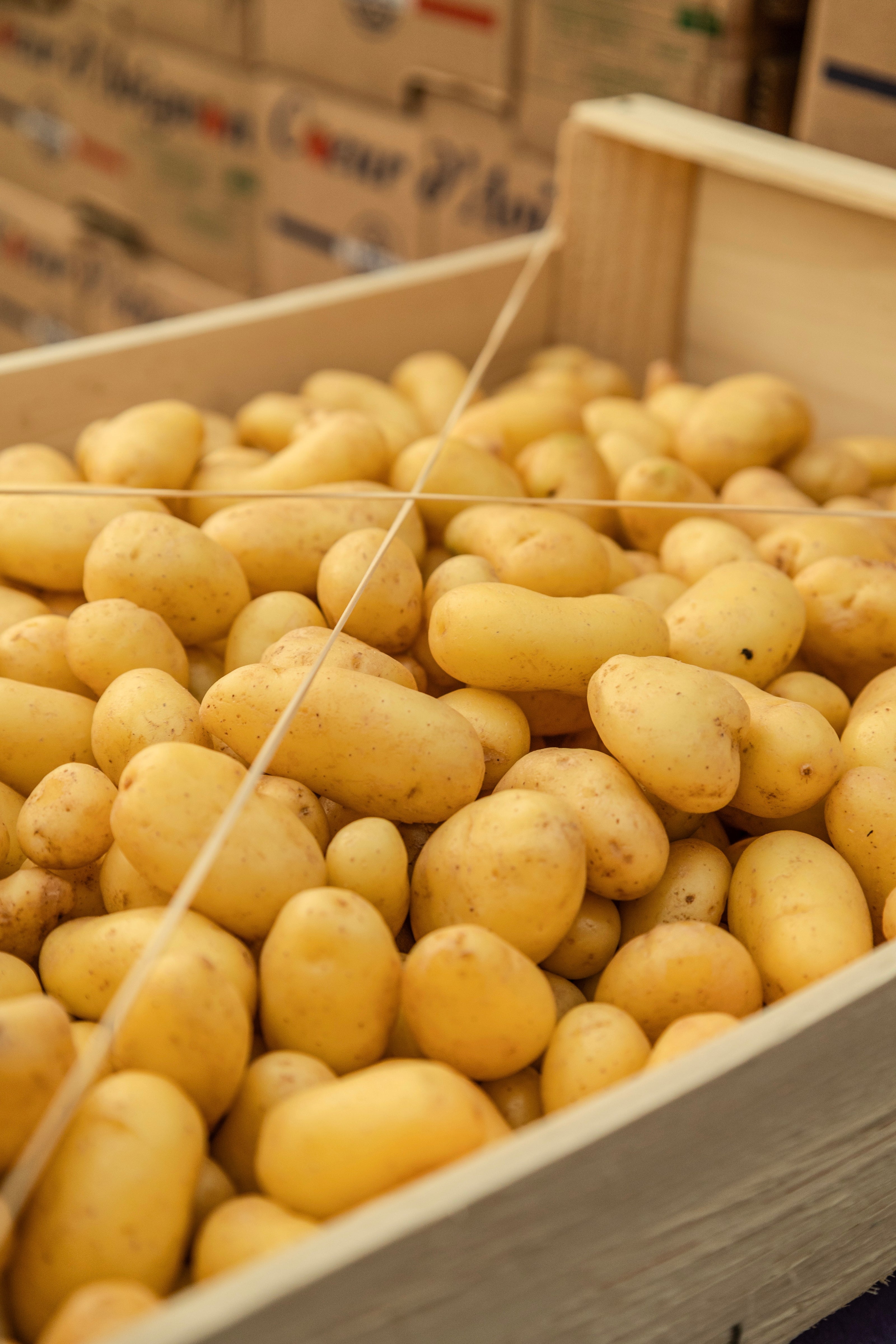 Pomme de terre au Grand Marché des Alpes, MIN de Grenoble, marché de gros alimentaire pour professionnels à Grenoble.