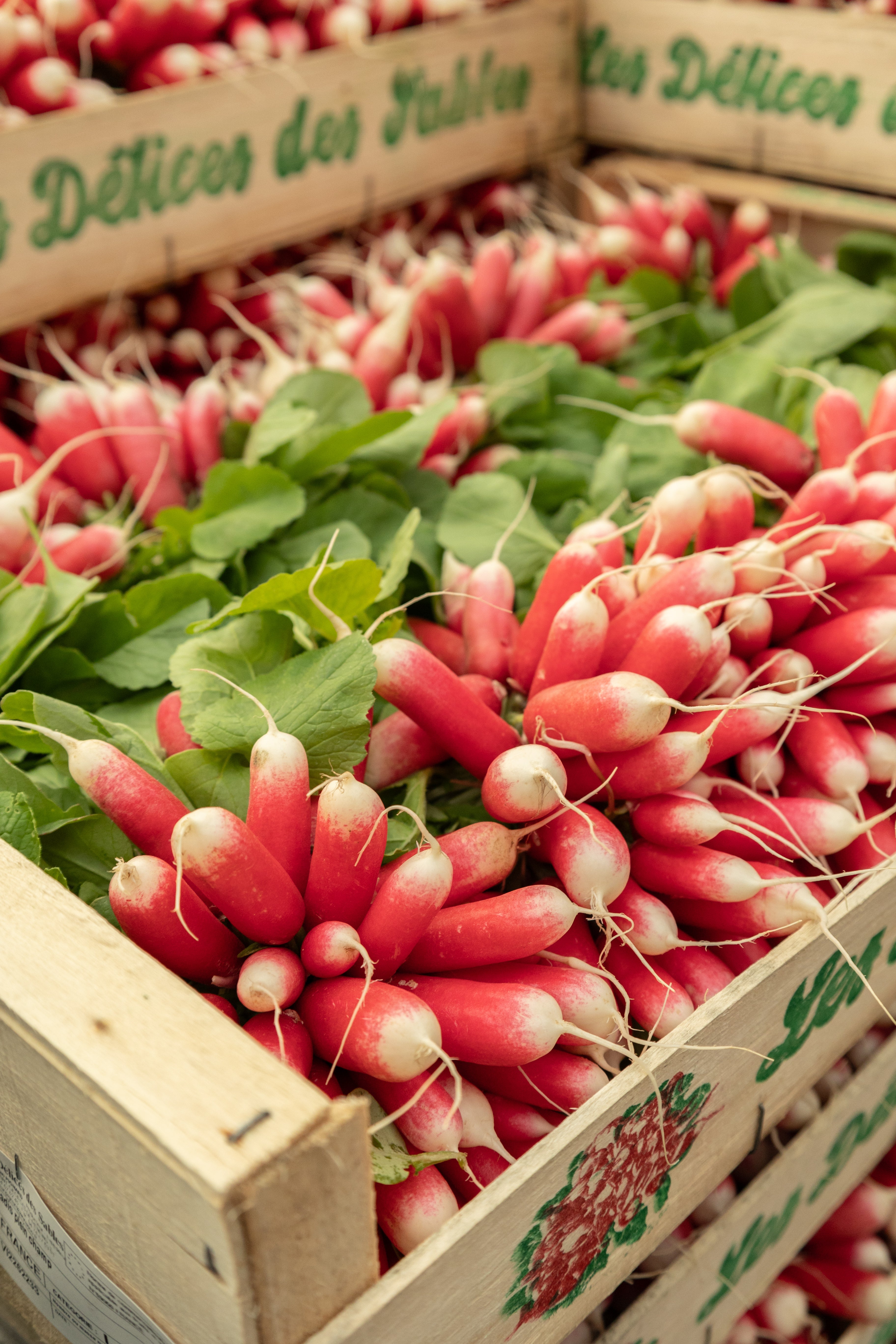 Radis Grand Marché des Alpes, MIN de Grenoble, marché de gros alimentaire pour professionnels à Grenoble.