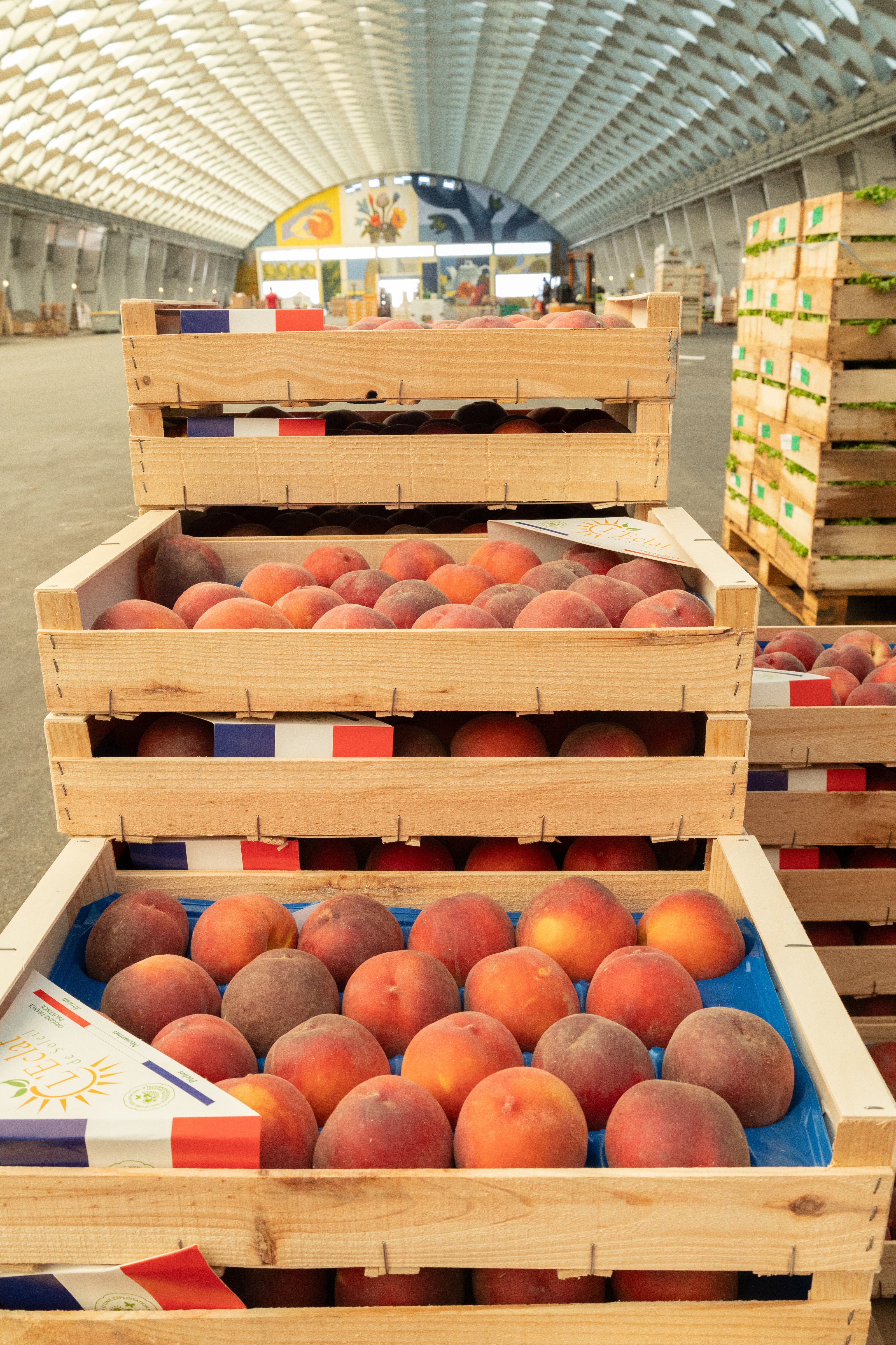 Grand Marché des Alpes, MIN de Grenoble, marché de gros alimentaire pour professionnels à Grenoble.