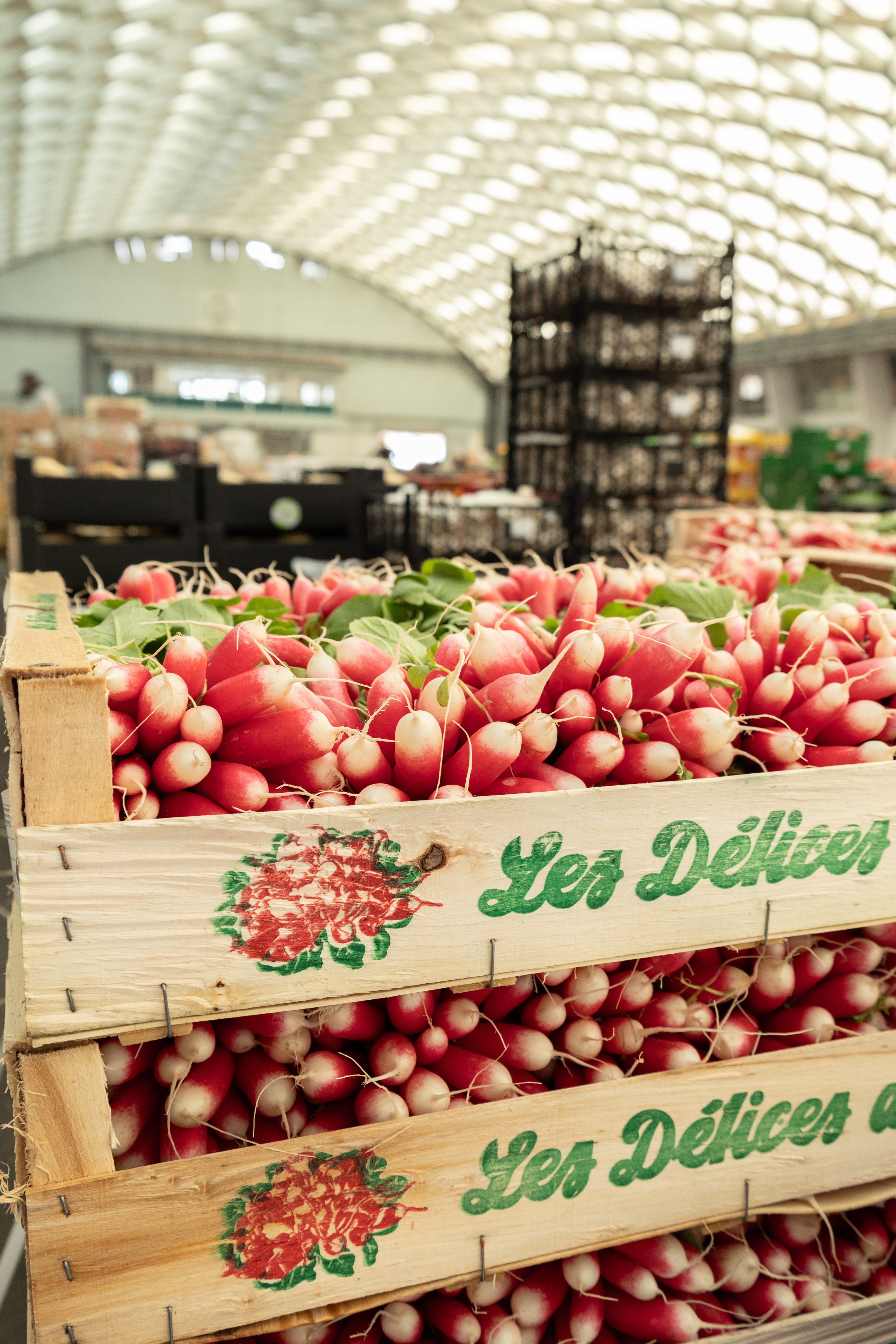 Radis au Grand Marché des Alpes, MIN de Grenoble, marché de gros alimentaire pour professionnels à Grenoble.